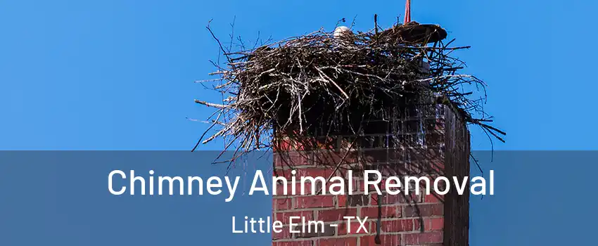 Chimney Animal Removal Little Elm - TX
