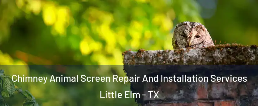  Chimney Animal Screen Repair And Installation Services Little Elm - TX