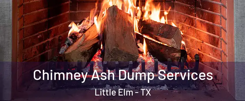  Chimney Ash Dump Services Little Elm - TX
