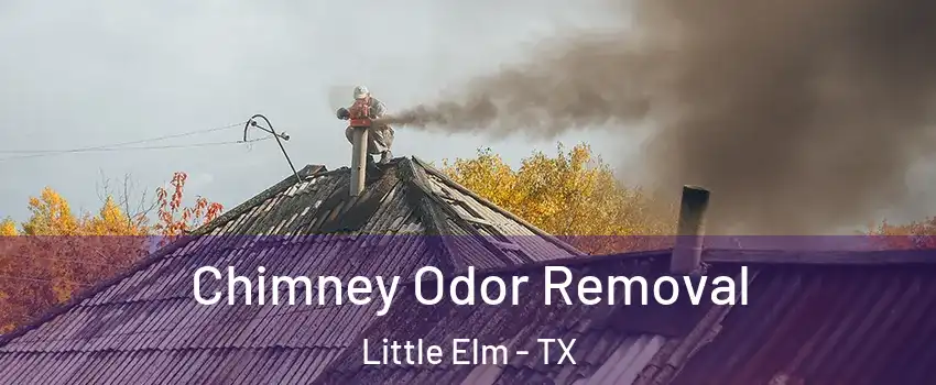  Chimney Odor Removal Little Elm - TX