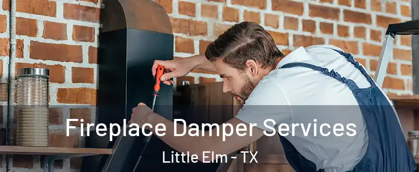 Fireplace Damper Services Little Elm - TX