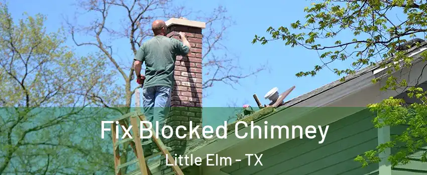  Fix Blocked Chimney Little Elm - TX