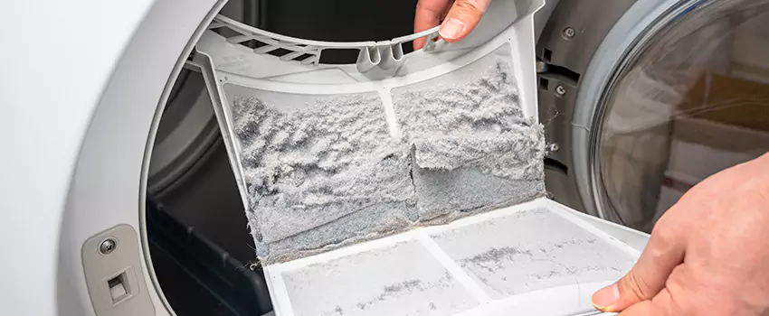 Best Dryer Lint Removal Company in Little Elm, Texas