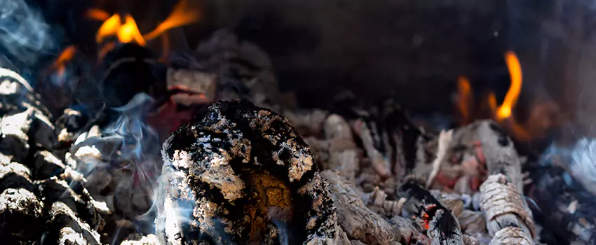 Creosote Removal Experts in Little Elm, TX