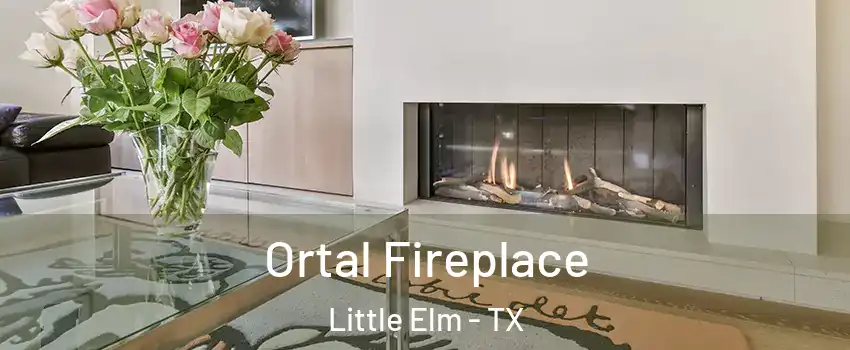 Ortal Fireplace Little Elm - TX